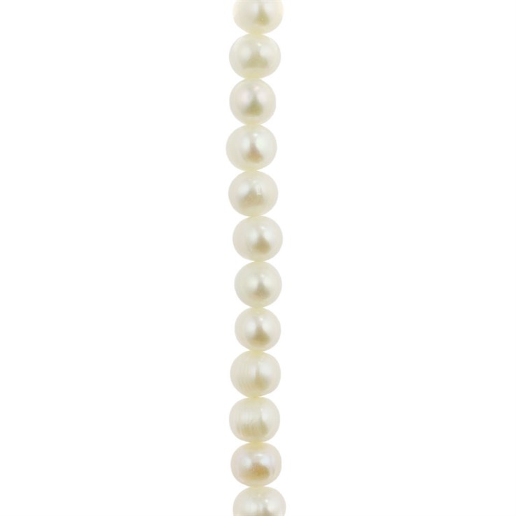 7.5-8.5mm Potato Pearl White 40cm Strand (Best Value)