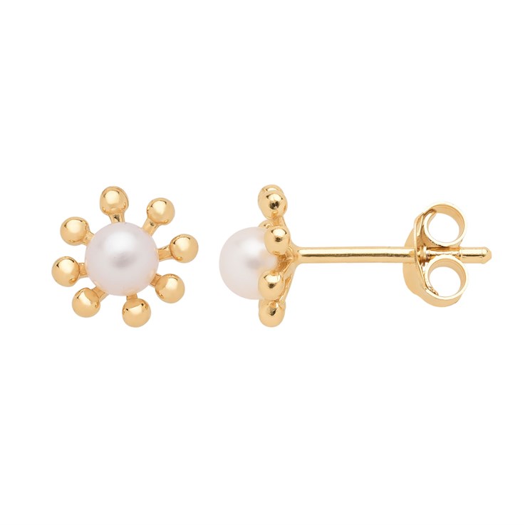 8 Petal Flower Earstuds with FWP Pearl Including Scrolls Gold Plated Sterling Silver Vermeil