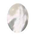 25x18mm Mother of Pearl Shell Cabochon Alternative Image