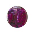 10mm Red Abalone Low Dome Shell Cabochon Alternative Image