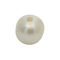 10-11.5mm Potato Pearl Bead Side Drilled 2mm Hole White Alternative Image