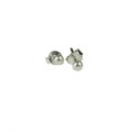 3-3.5mm Button Pearl Stud Earring with Sterling Silver Fittings in White Alternative Image