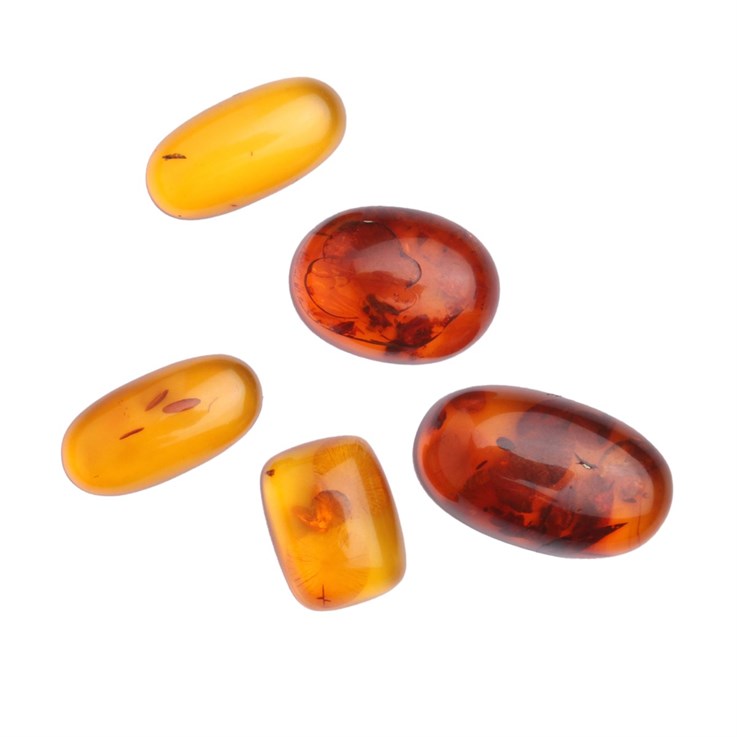 Amber Mixed Cabochon Pack Large (5 pieces)