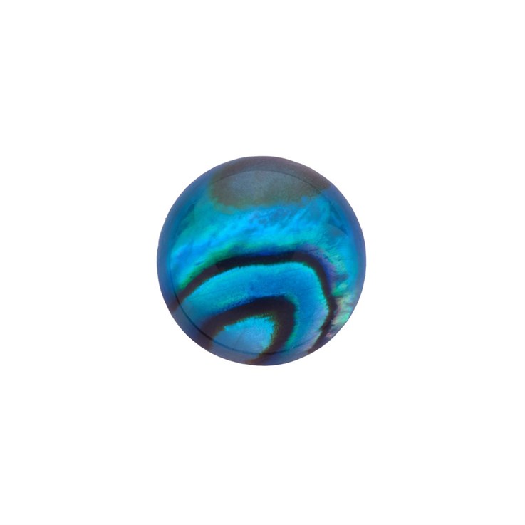 8mm Blue Abalone Low Dome Shell Cabochon