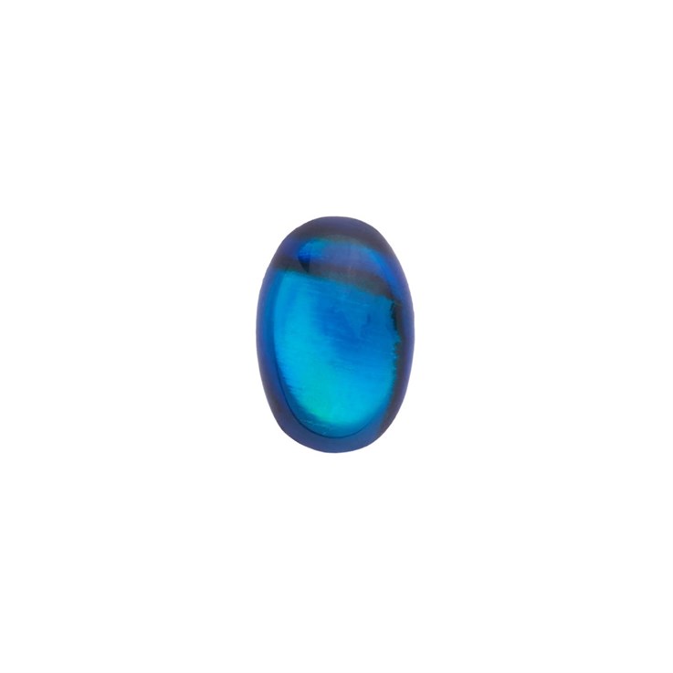 6x4mm Blue Abalone Low Dome Shell Cabochon