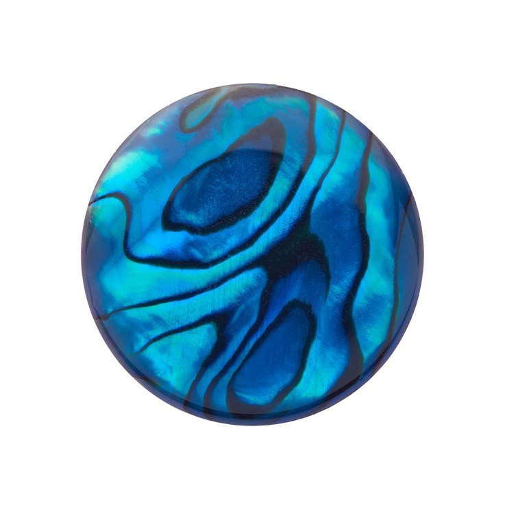 25mm Blue Abalone Low Dome Shell Cabochon