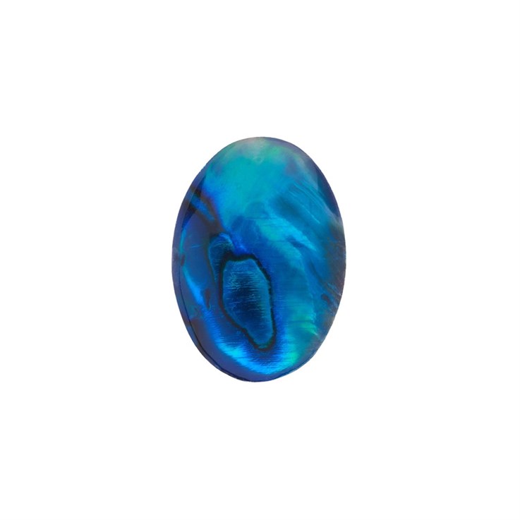14x10mm Blue Abalone Low Dome Shell Cabochon