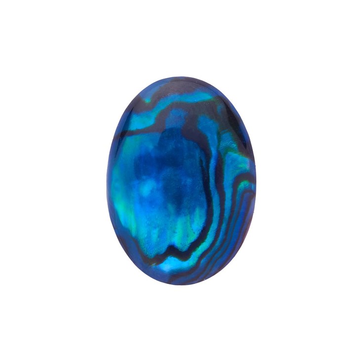 18x13mm Blue Abalone Low Dome Shell Cabochon