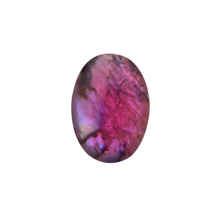 14x10mm Red Abalone Low Dome Shell Cabochon